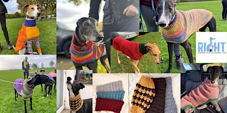 Christmas fundraiser for RIGHT - Rehoming Irish Greyhounds