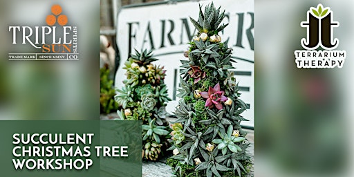 In-Person Succulent Christmas Tree Workshop at Triple Sun Spirits Co.