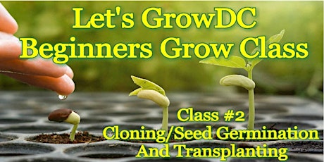 Let's Grow DC! Beginners Grow Course. Class #2: Cloning/Seed Germination, and Transplanting primary image