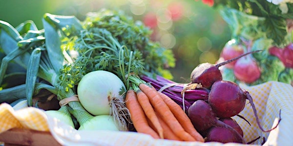 Water Saving Seminar: Grow Your Own Vegetables