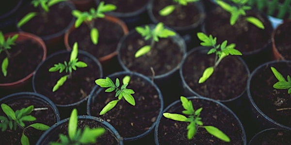 Water Saving Seminar: Composting
