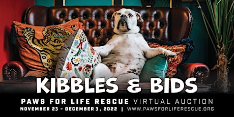 Kibbles & Bids Virtual Auction for Homeless Pets