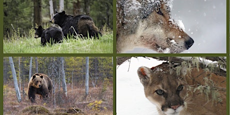 People and Predators: Sharing the Landscape primary image