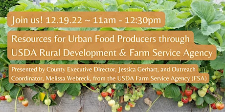 Resources for Urban Food Producers through USDA Farm Service Agency