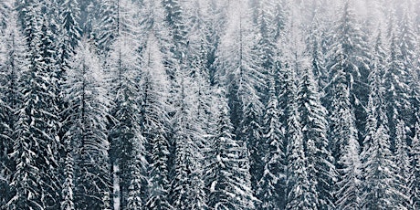 Honoring the Seasons Through Poetry: Winter