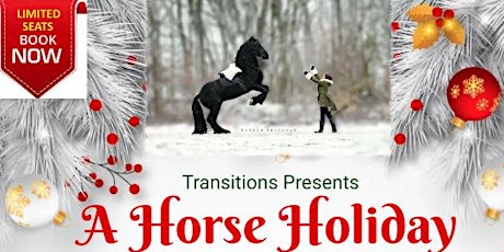 A Horse Holiday - Equine Performance