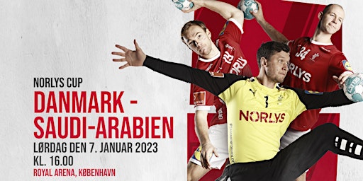 SPOT:ON VIP-event m. håndboldlandskamp Danmark vs. Saudi-Arabien