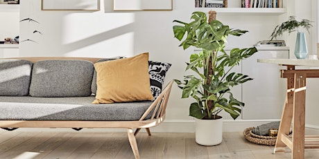 Houzz of 2018: How to look after your houseplants with Patch primary image