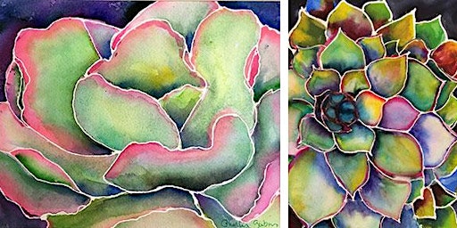 Succulents in Watercolors with Phyllis Gubins