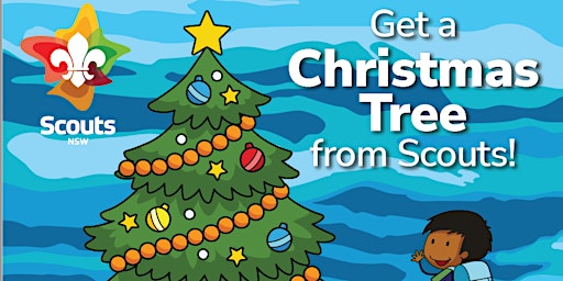 1st Hornsby Heights Scouts Christmas Trees Presales - Friday 9 Dec 2022