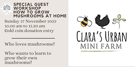 Mushroom Workshop with Clara of Clara's Urban Mini Farm primary image