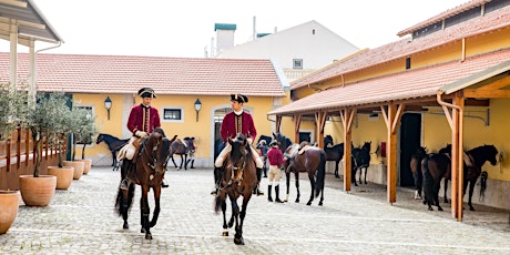 Webinar para Profissionais de Turismo - Escola Portuguesa de Arte Equestre