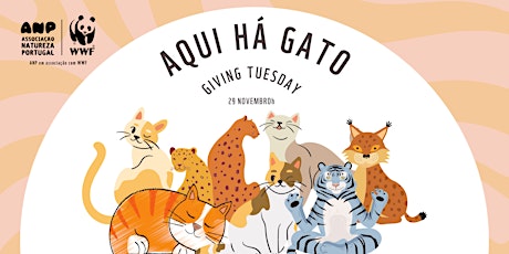 Imagem principal de Giving Tuesday - Aqui Há Gato!