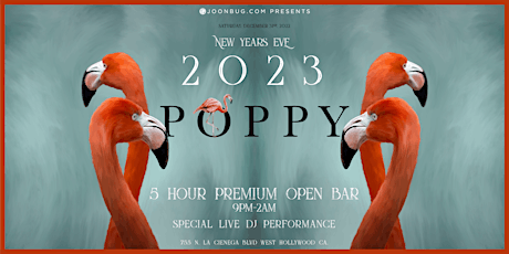 Poppy New Years Eve Party 2023