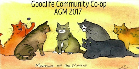 Goodlife Community Co-op AGM (2017) primary image
