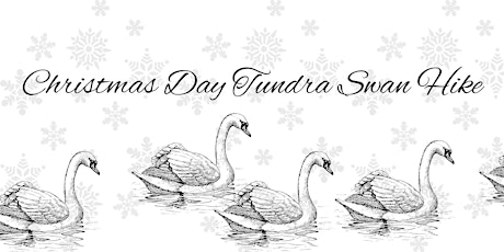 Christmas Day Tundra Swan Hike primary image
