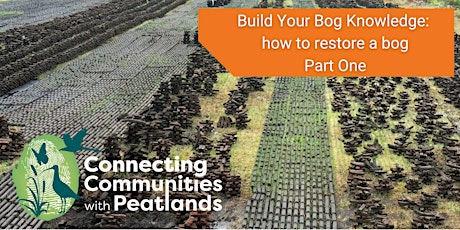 Build Your Bog Knowledge: How to Restore a Bog...Part One