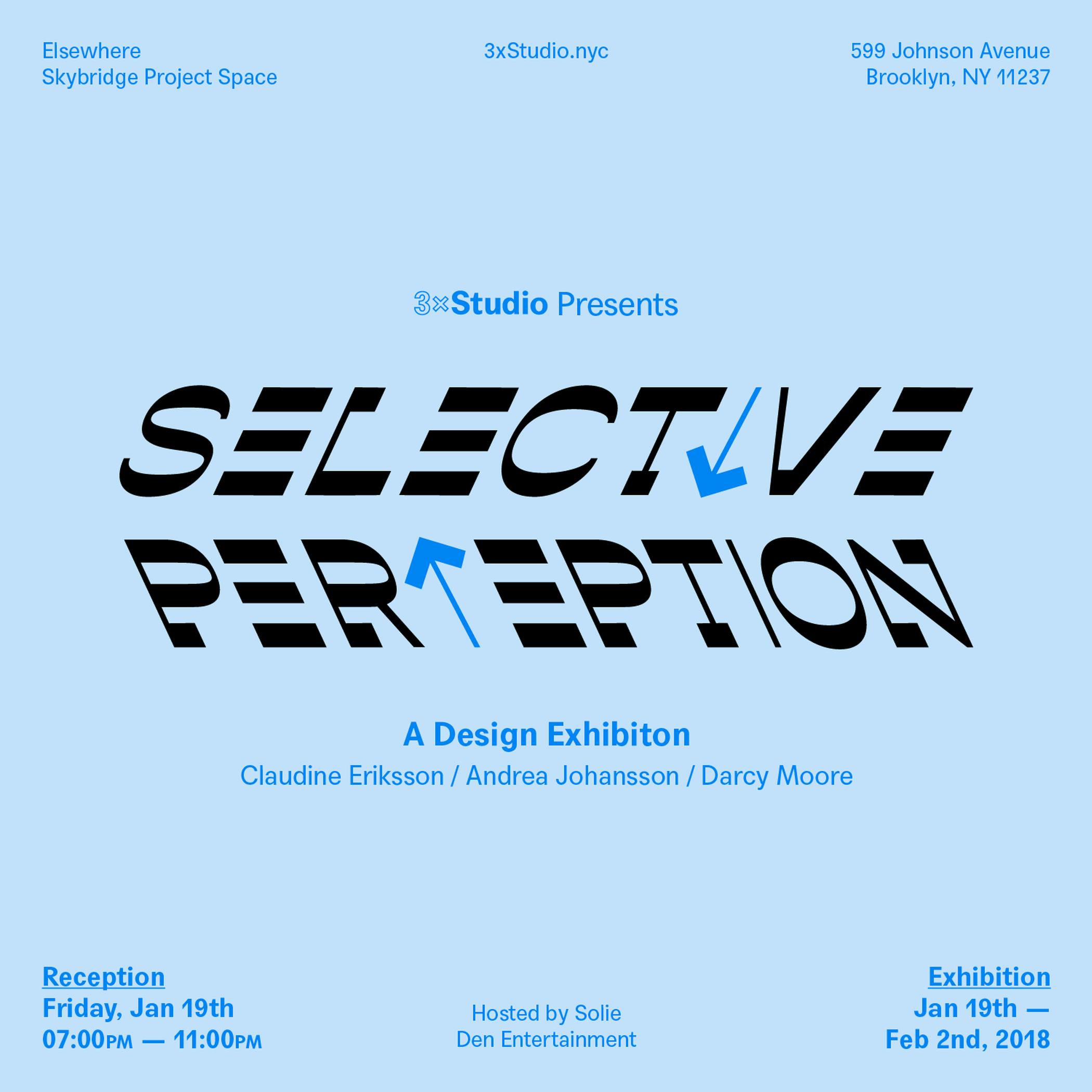 Selective Perception Opening Party