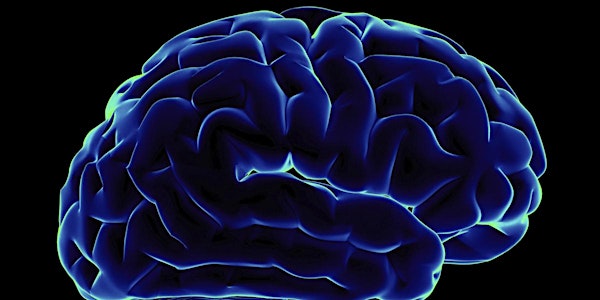Lifting the Fog: Integrating Bio/Neurofeedback into Dual Diagnosis Treatment