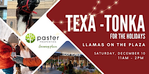 Texa-Tonka for the Holidays :  Llamas on the Plaza