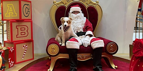 Pet Photos with Santa - 'Other Pets'