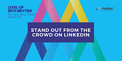 Level-Up with Meytier: Stand Out from the Crowd on LinkedIn