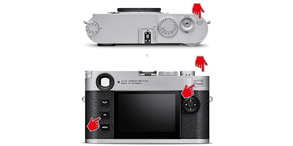 Leica M11 - Individualisieren (Zusatztermin)