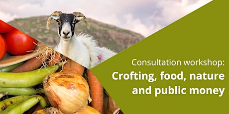 Agriculture, nature and public money - consultation workshop primary image