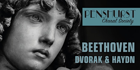 Beethoven : Dvorak and Haydn primary image