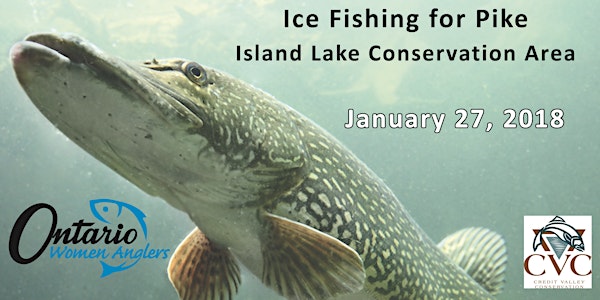 Ice Fishing for Pike at Island Lake Conservation Area