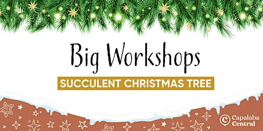Creative Workshops - Succulent Christmas Tree