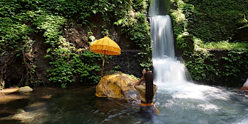 Bali Luxury Exclusive Jungle Yoga Retreat