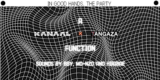 In Good Hands, The Party