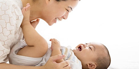 Imagem principal de Early Learning Together Baby 0-6 months - Lavender Steers Mead