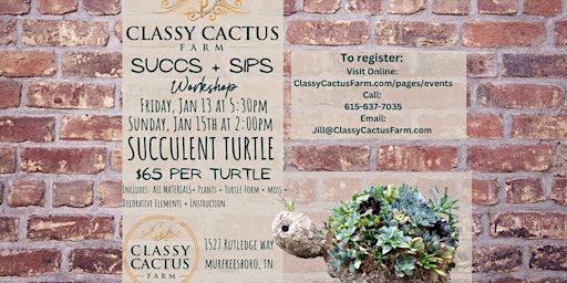 Succulent Turtle Topiary Workshop
