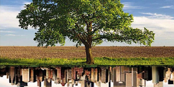 METROPOLI AGRICOLE - per un’agricoltura sana, equa e sostenibile