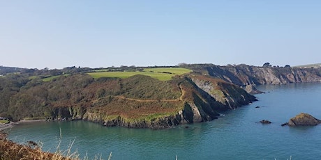 Fishguard-Cardigan 30 Mile North Pembrokeshire -Walk/Jog or Run Challenge primary image