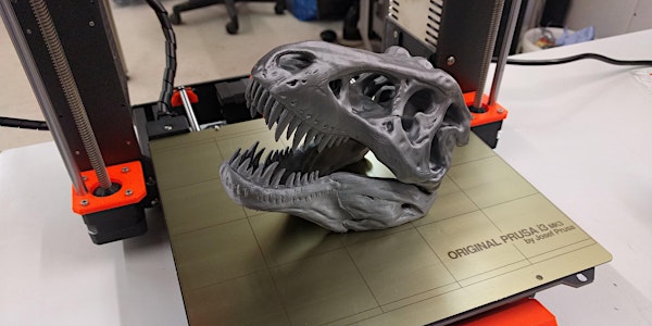 Lernen Sie den 3D-Drucker zu nutzen!