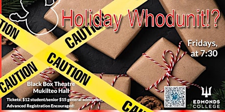 The Holiday Whodunit