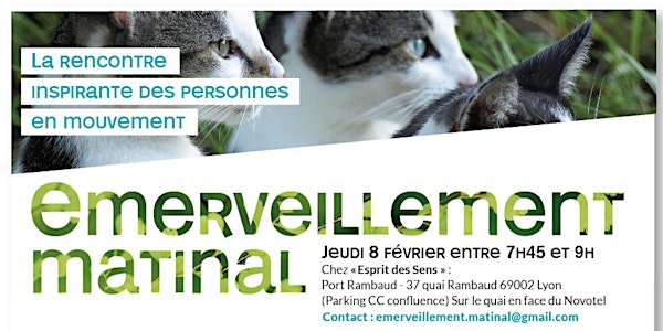 EMERVEILLEMENT MATINAL - 2ème édition