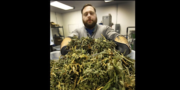 The Future of Marijuana Edibles
