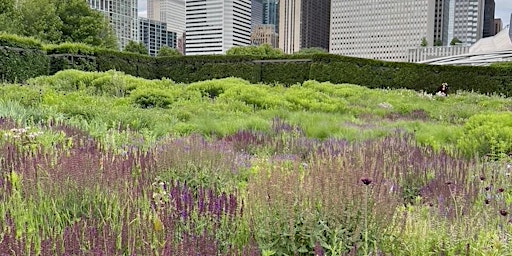 Gardening for the Seasons: Lessons from Lurie Garden with Kathryn Deery