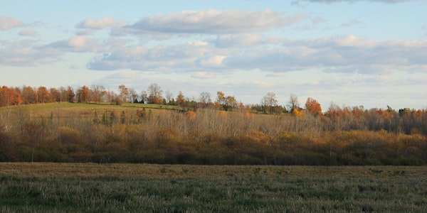 Farmland: Using it, Losing it & Protecting it