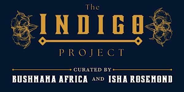 The Indigo Project Opening Reception