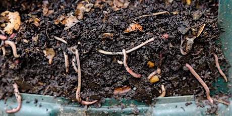 Worm Farming primary image