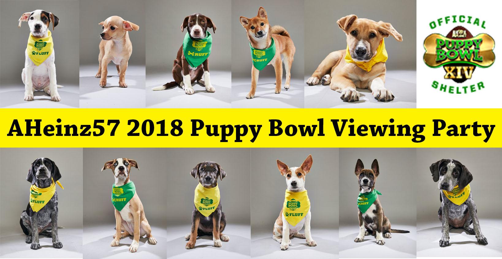 AHeinz57 Puppy Bowl Viewing Party 2018