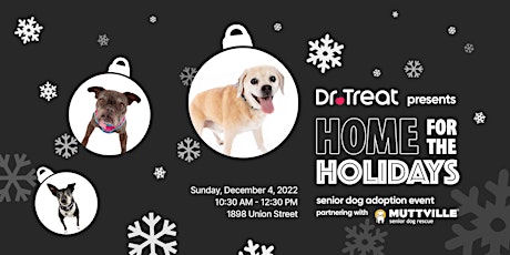Dr. Treat's Home for the Holidays Senior Dog Adoption Event
