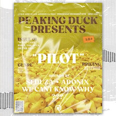 Peaking Duck Presents "Pilot" feat. DJ Seduza