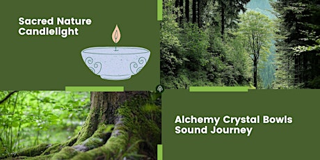 Sacred Nature Candlelight Alchemy Crystal Bowls Sound Journey