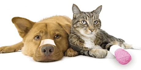 Imagen principal de Virtual - Certified Pet Sitter/CPR/First Aid (add on)